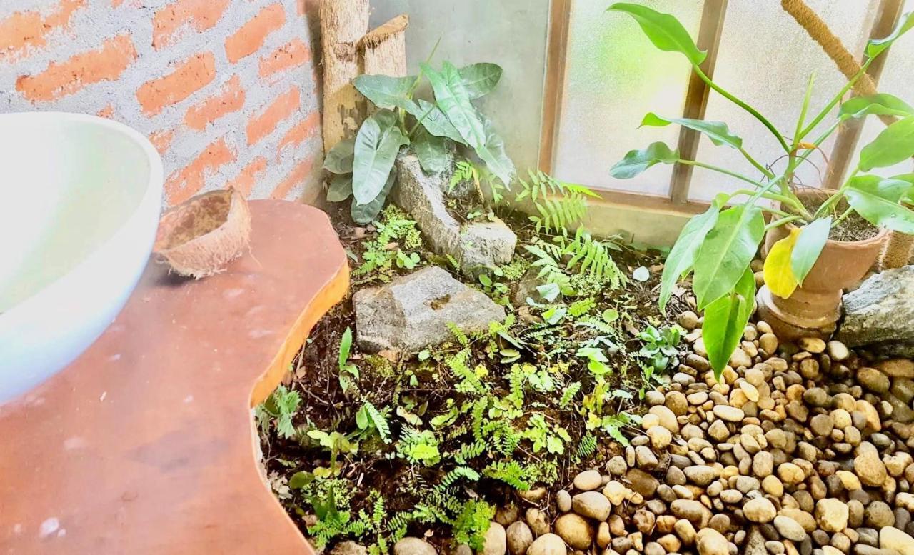 Bindu Homestay Wellawaya Luaran gambar