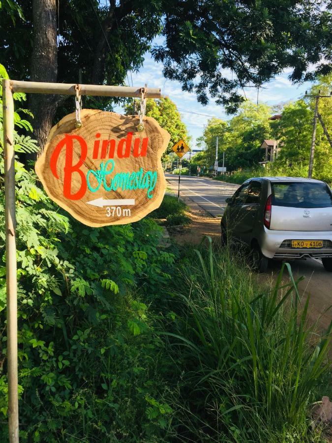Bindu Homestay Wellawaya Luaran gambar